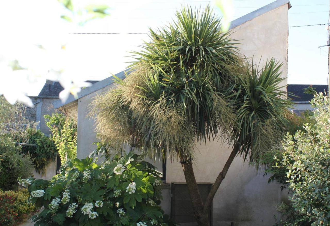 Duplex Confort Et Jardin Charmant Nantes Eksteriør billede